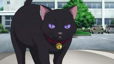 Many see me as walking good luck charm, but I won't call them lucky if they find me. I don't try to talk Human that often. #RP