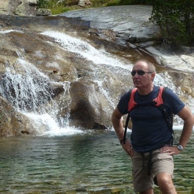 marzopedro's profile picture. 