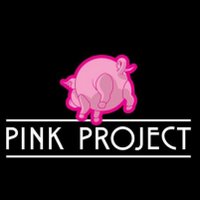 Pink Project (@pinkprojectband) 's Twitter Profile