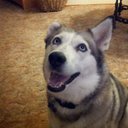 Ian - @Ian_krantz - Twitter