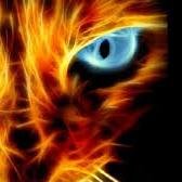 mikey9634's profile picture. 