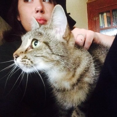 I like subtitles. and cats.