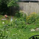 Deb Day - @debday12 - Twitter