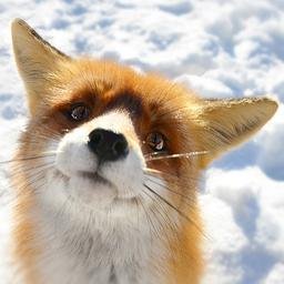 ChrissMW's profile picture. 