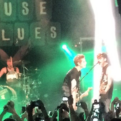 This is a twitter designated for all 5sos fans to showcase their #5sosllamas.