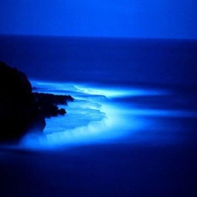 SongsBecomeWatr Profile Picture