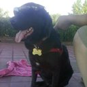 z mabel salinas - @mawel1970 - Twitter