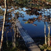 Cynthia (@hahn1964) 's Twitter Profile