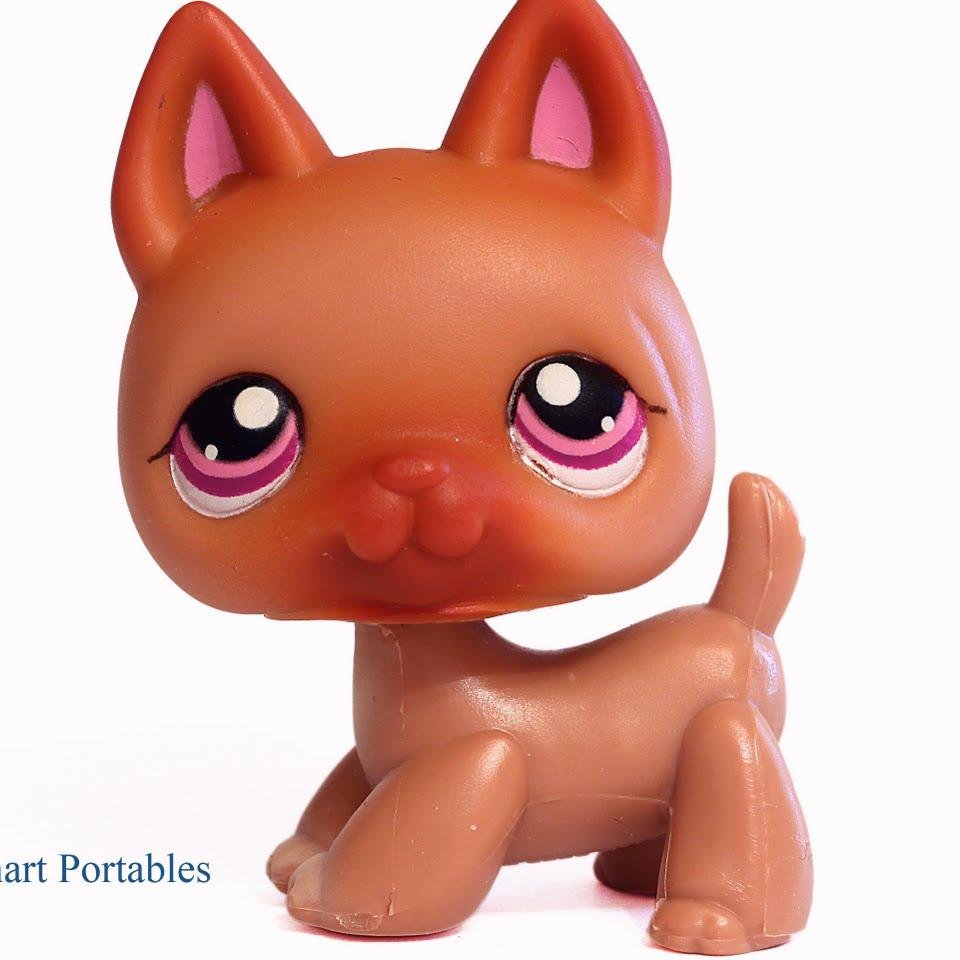 Gems_Awesome03's profile picture. hey guys i have an instagram its @gemstone_the_awesome_0329  i love lps and you and i]yes i am dating a girl her name is rilee