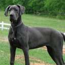 Jackie Boyce - @JenBoycer - Twitter