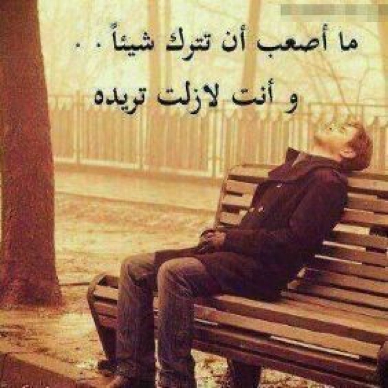 سـبحـان الله وبحمده سـبحـان الله العظيم