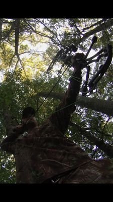 WJohnson010's profile picture. 