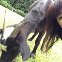 34tyan. (@0229Miho) Twitter