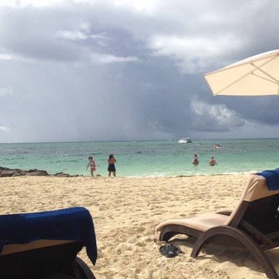 au21tigers's profile picture. 