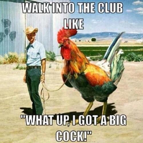 I just love all the beautiful women of twitter!