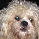 Jim Mathieson - @jim_mat - Twitter