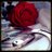 FSOGAnew_RP's profile image