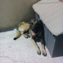 Manuel Cedillo - @manuel12cedillo - Twitter