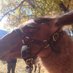 Riders of Fulford (@ridersoffulford) Twitter profile photo Riders of Fulford (@ridersoffulford) Twitter profile photo