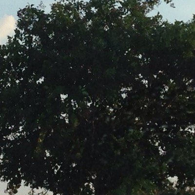 Tnsegan's profile picture. 