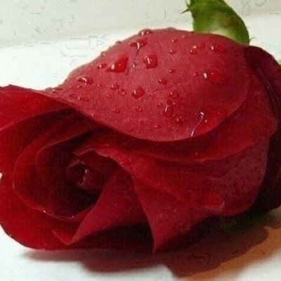 ستبحث عمن يشبهني..لكن أنا لن أكون مرتين..❤️❤️