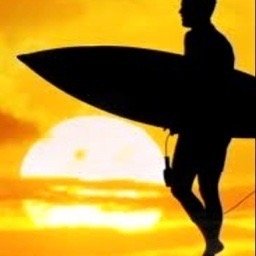 Director Strategic Sales for Coastal Construction Products. @waterproofing We specialize in providing Building Envelope Solutions.