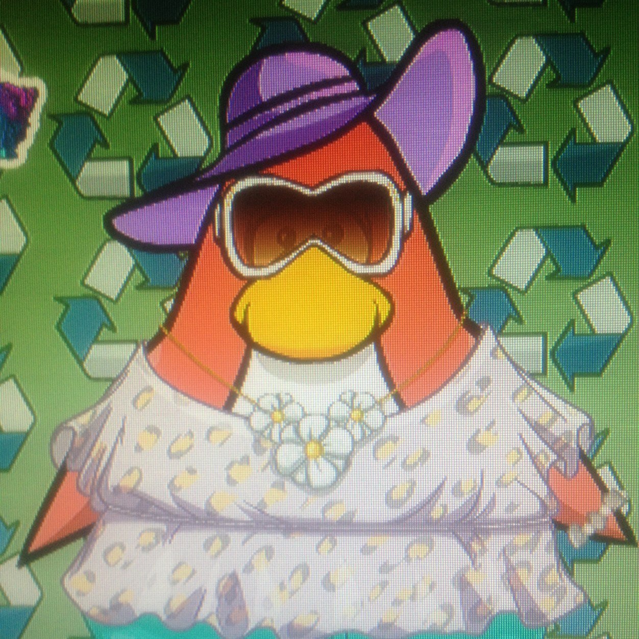 i love club penguin is my favorite game forever, maybe we are on the island;)                     I love The Beatles :3