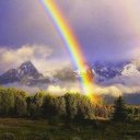 Sharon Real - @sreal1246 - Twitter