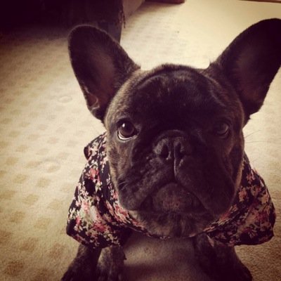 yymanutd's profile picture. 