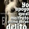 marisierra11's profile picture. Soy animalista y muy orgullosa de serlo aqui estare defendiendoles hasta la muerte, nuestros animales,ellos se lo merecen todo.Basta ya de maltratarlos.