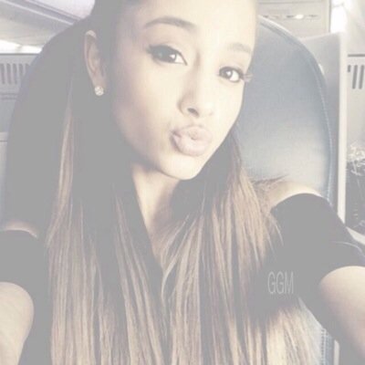 free follow from @blushingbuteras ! so please go follow that account if you dont already ♡