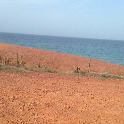 LeonardoNunezU's profile picture. 