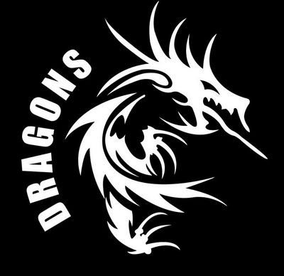 Dragons Flag Team