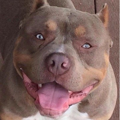 !...I retweet yo shit