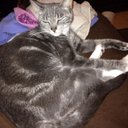 Faye Dunn - @fdunn33 - Twitter