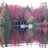 sandlakecottage's profile image
