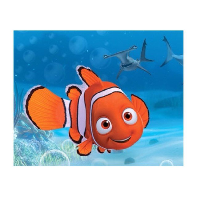 toonies22's profile picture. 