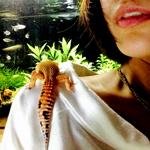 生き物植物大好き。熱帯魚/アクアリウム/金魚/レオパ/イエアメガエル/多肉植物/写真/デザインなどなど日々のつぶやきです。爬虫類、アクアリウム仲間を求めて。フォロー歓迎、無言フォローしますが交流したくてソワソワしています。唐突に話し出したら申し訳ない(u人u)