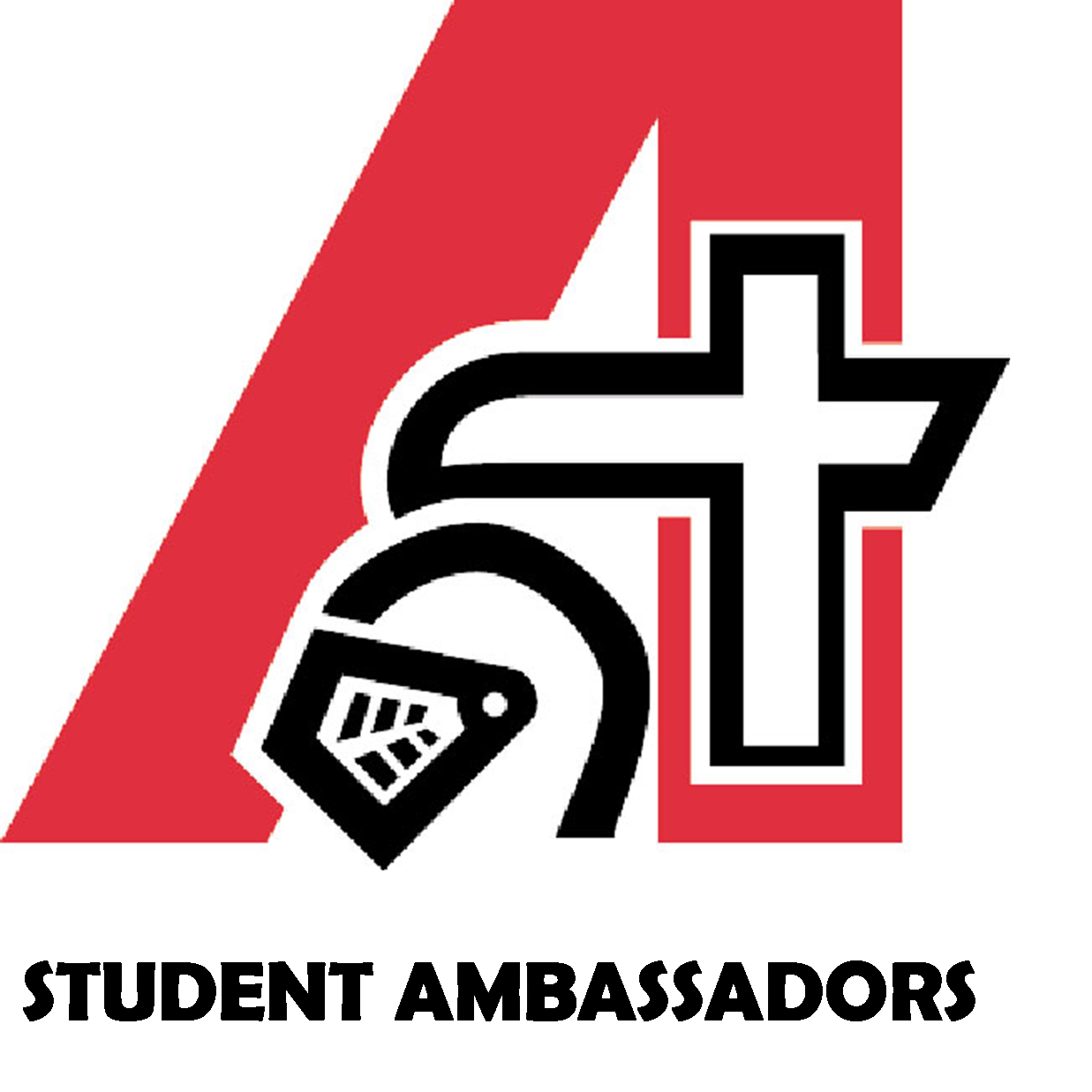 AHS_Ambassador's profile picture. 