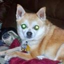 Dale Chambers - @ChambersDale - Twitter