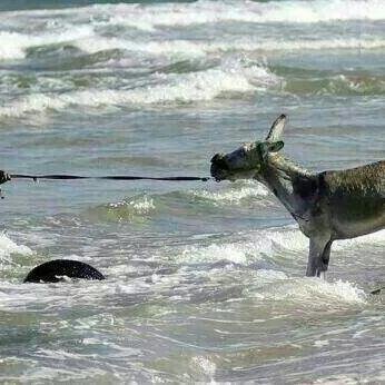 marienca62's profile picture. 