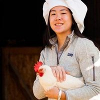 Shauna Henley (@schenley84) 's Twitter Profile
