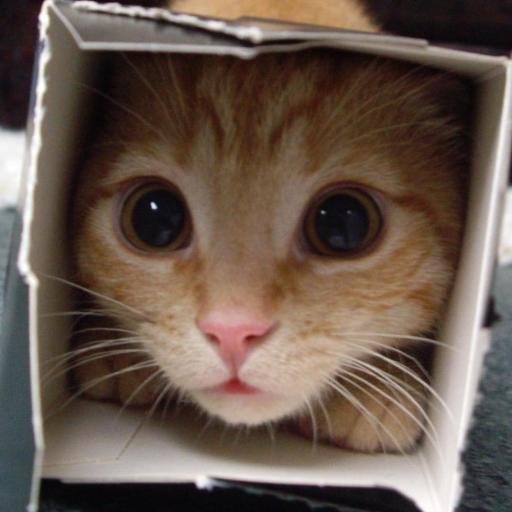 RelievePains's profile picture. 