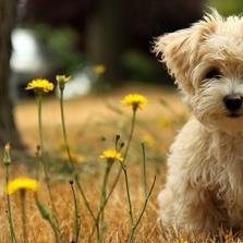 Happiness is not a reward, it is a consequence.