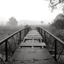 Craig & Dani - @CraigAndDani - Twitter