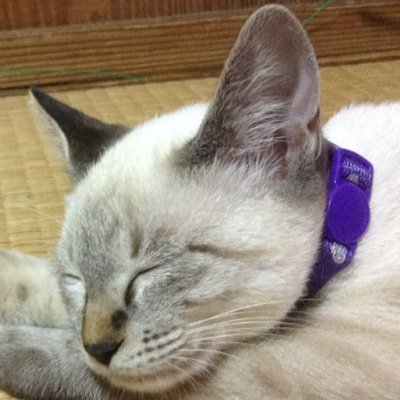 カガホさんのプロフィール画像