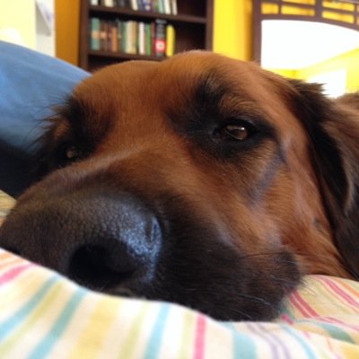 juliesmutniak's profile picture. Proud Mom. Brand Builder. Allegedly, world's worst video gamer and singer.