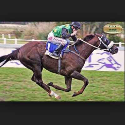 account is now @precisewins TEAM OF TOP TIPSTERS WITH CONSTANT PROFIT