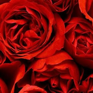 ‏‏نوته موسيقيه.. جميلة بكل ذبذباتي ❤️
اعشق لحن الحياة.. 🌈🎶