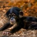 Heidi Sheets - @Cedeemay69 - Twitter